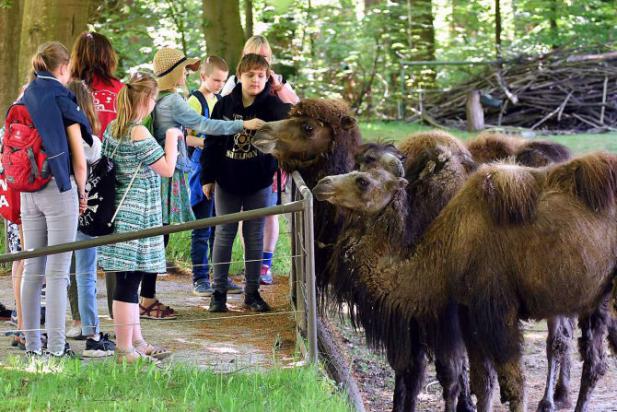 Sommerferienprogramm im Zoo Rostock