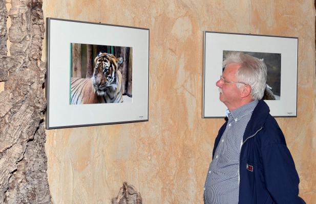  Ausstellungseröffnung brachte überraschende Finanzspritze für den Zoo 