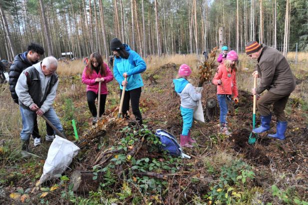 Pflanzaktion „Bürger für Bäume“ am Samstag in der Rostocker Heide