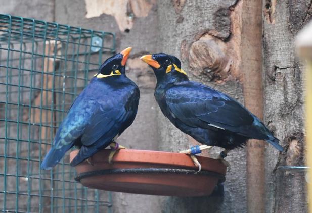 Tierisch was los im Zoo Rostock! – Beos im Zoo Rostock