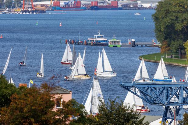 Rostock News: Senatoren-Regatta