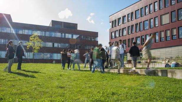 Studieninteressierte aufgepasst! – Hochschulinformationstag der Universität Rostock am 1. Juni 