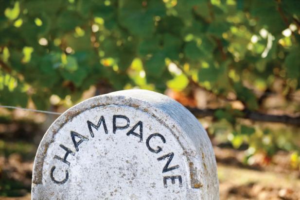 Quo Vadis, Champagner?